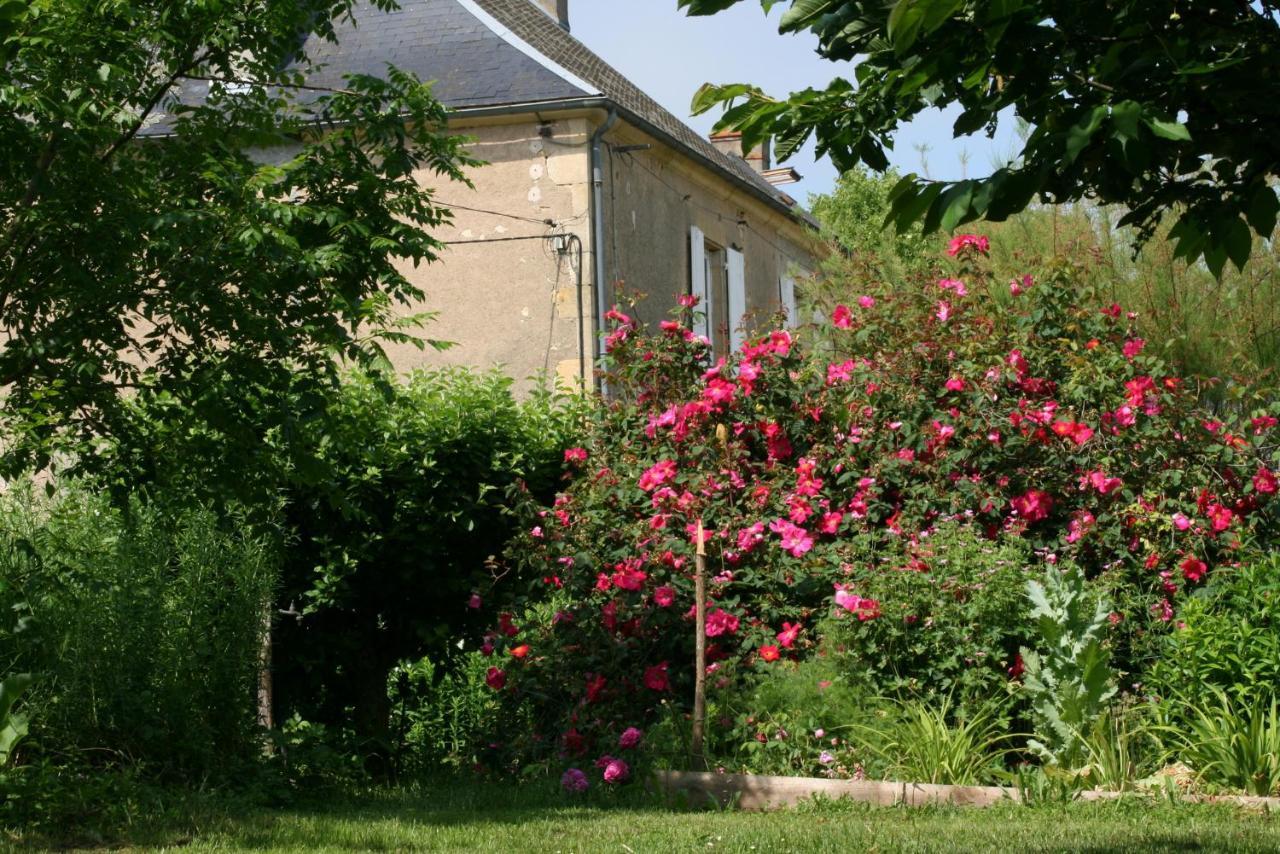 Chambres D'Hotes Du Jay La Guerche-sur-l'Aubois Eksteriør bilde